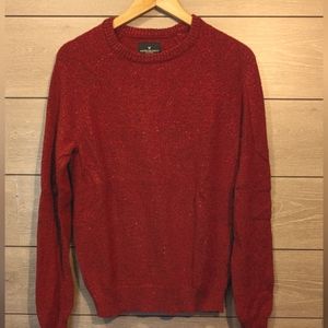 AE Men's Sweater